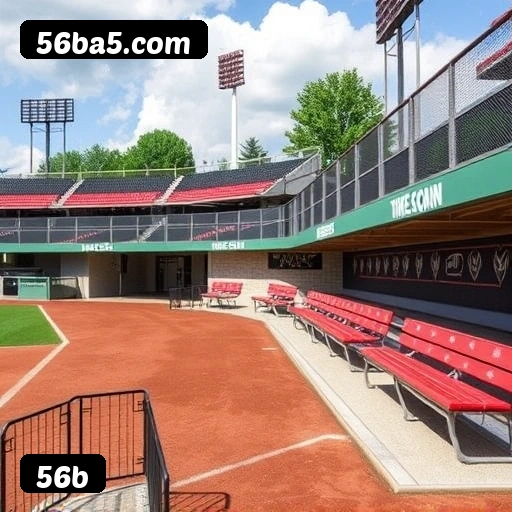 Níveis do programa VIP da 56b